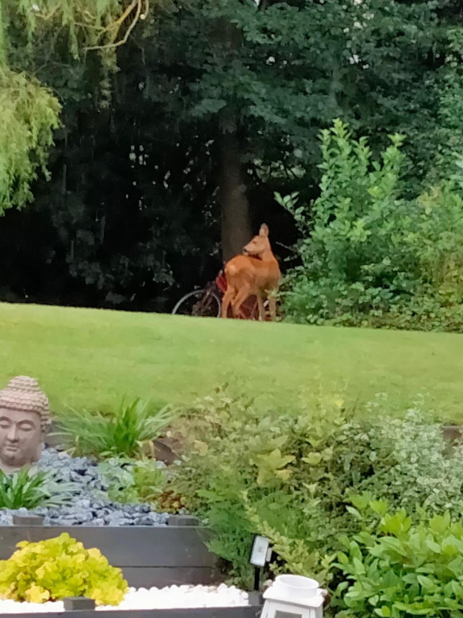 Hesdigneul-les-Boulogne Le Grenier De Mamou酒店 外观 照片